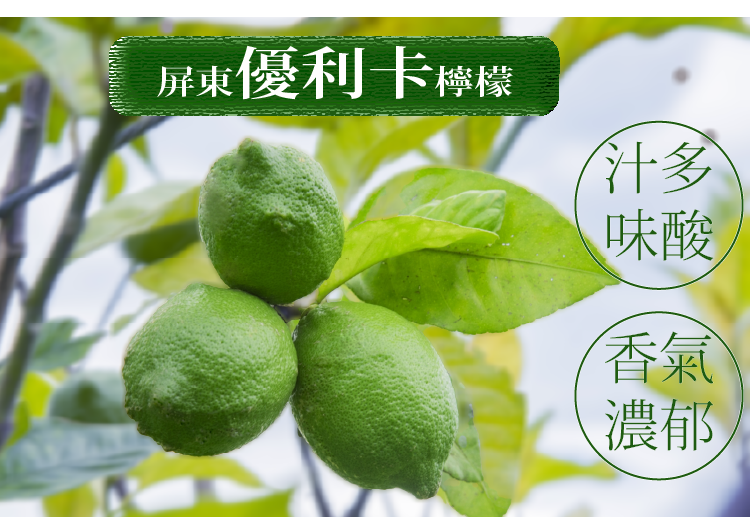 冷凍檸檬果汁隨身包( 含糖) - 線上購物- 竹田農產產業有限公司